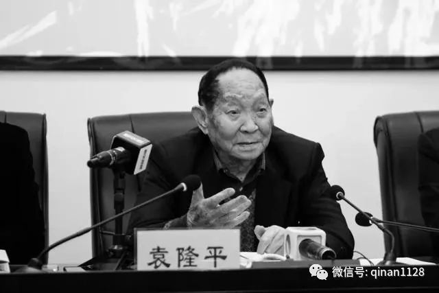  主场优势尽显，球迷助威声震四方